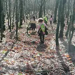 La Casa De Abajo * Arroyomolinos de la Vera