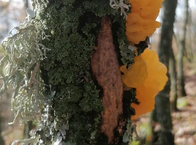 La Casa De Abajo Villa *