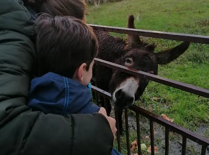 La Casa De Abajo * Arroyomolinos de la Vera