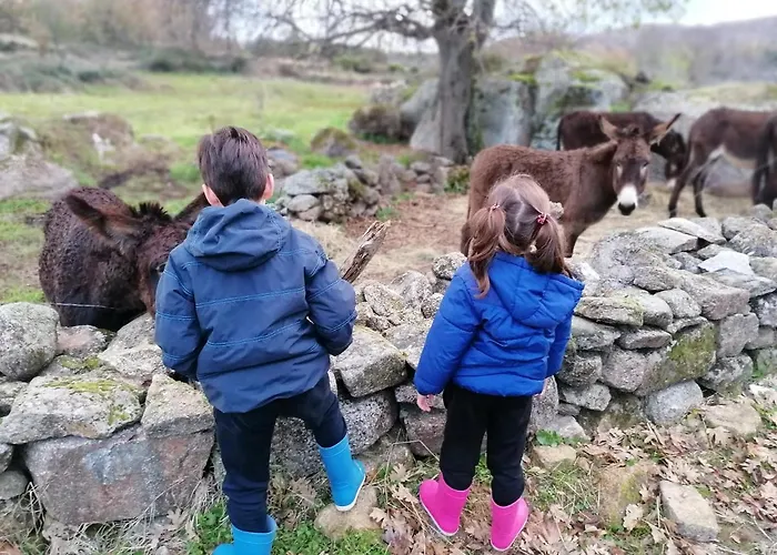 Villa La Casa De Abajo